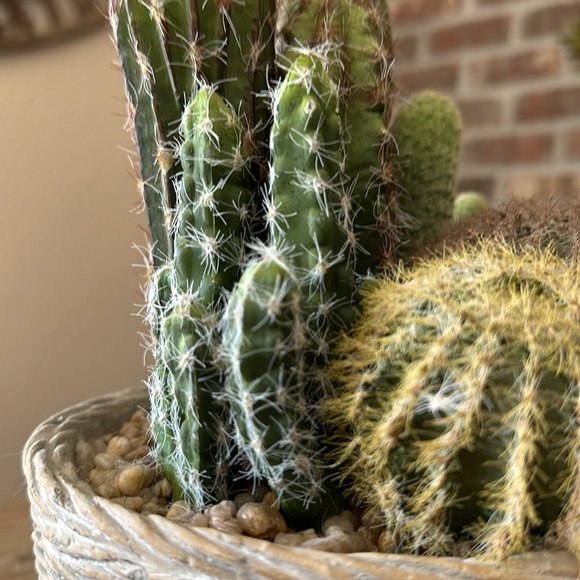 Faux Potted Cactus Arrangement - Picture 12 of 14
